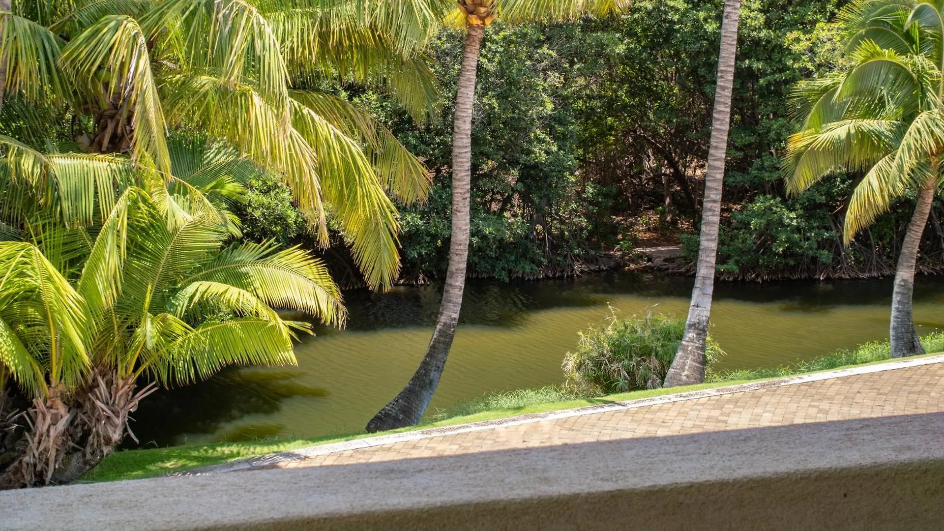 Apartment Aloha Aku Ohana Suite - Spacious Garden View Oasis Kihei